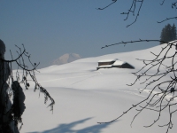 Winter 2012 Staedeli 007~0