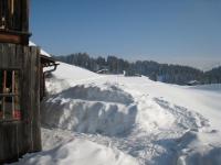 Winter 2012 Staedeli 016~0