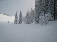 Winter Staedeli 201112 016